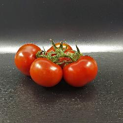 Produktfoto zu Strauchtomaten