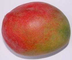 Produktfoto zu Mango