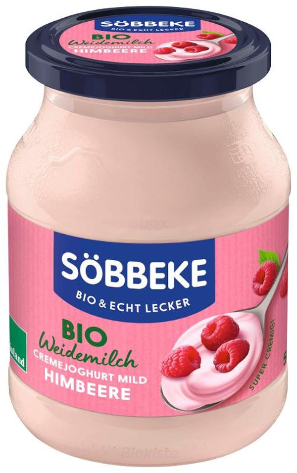 Produktfoto zu Joghurt Himbeere 500g