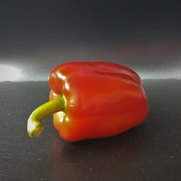 Produktfoto zu Paprika rot