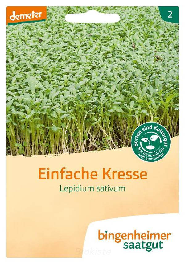 Produktfoto zu Kresse einfach Saatgut