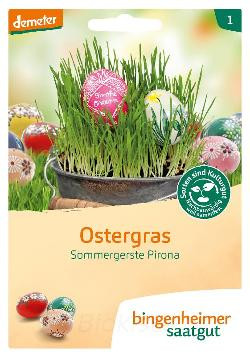 Produktfoto zu Ostergras Saatgut